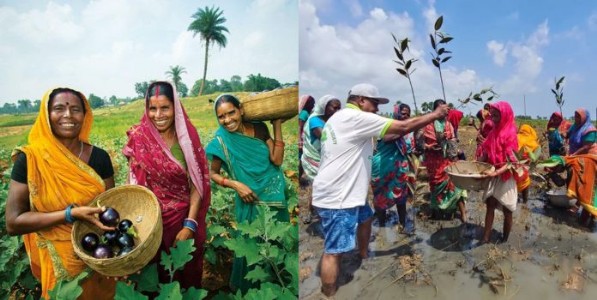 ग्रामीण भारतातील महिला: पर्यावरण चळवळीच्या मार्गदर्शक