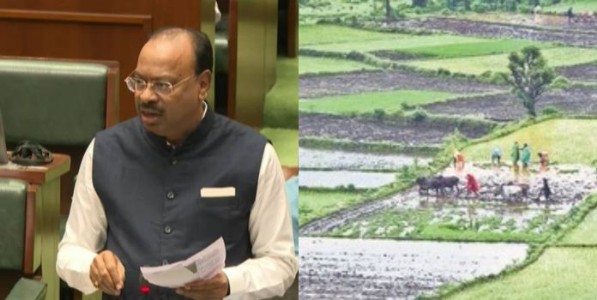 परप्रांतीयांच्या बेकायदा जमीन खरेदीवर सरकारचा बडगा; कोकणातील जमीन खरेदीची चौकशी होणार; महसुलमंत्र्यांची घोषणा