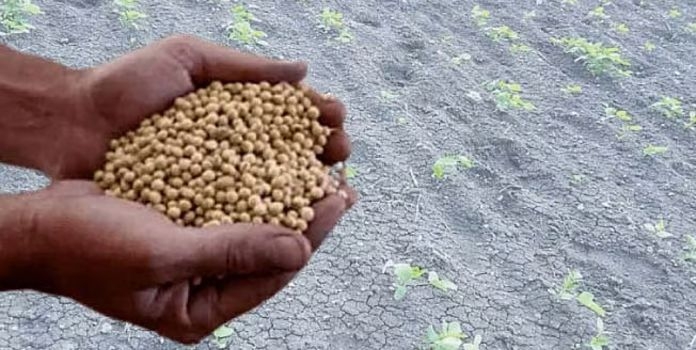 Agriculture Maharashtra