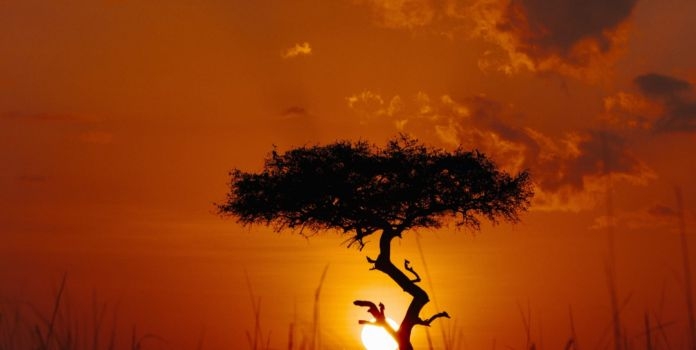 Best Golden Hour Destinations