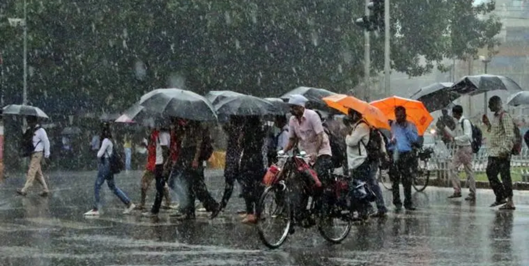 Maharashtra Rain Forecast