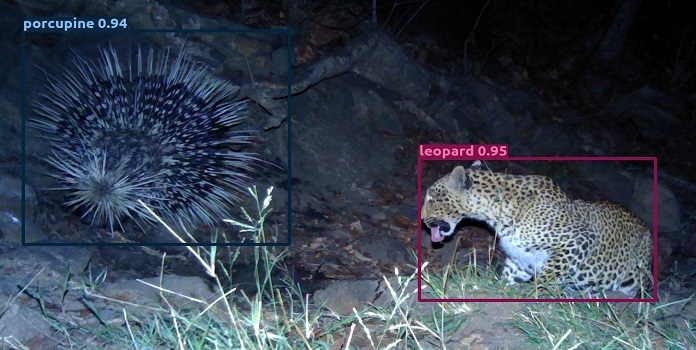 Species Recognition Model