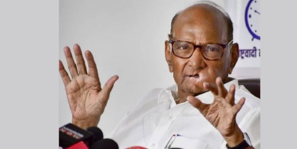 पवार गट राष्ट्रवादी काँग्रेसमध्ये विलीन होणार का? शरद पवारांनी स्पष्टच सांगितलं... 