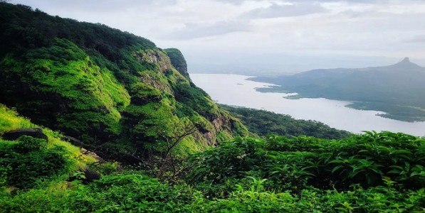 पश्चिम घाटाच्या पर्यावरणीय संवेदनशील क्षेत्राची मसुदा अधिसूचना प्रसिद्ध; १७,३४० चौ.कि.मी. क्षेत्र प्रस्तावित