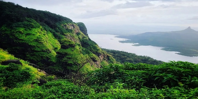 western ghat ESA