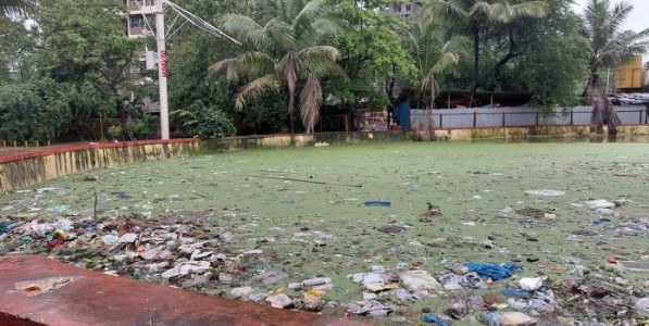 चोळेगाव तलावाच्या दुरवस्थेवरून प्रशासन रडारवर; गणेशभक्तांच्या भावना जपण्यासाठी भाजप मैदानात.