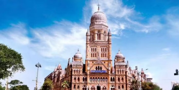 रस्त्यांच्या काँक्रीटीकरणादरम्यान झाडांच्या संरक्षणासाठी पालिकेची नवी मार्गदर्शक तत्त्वे