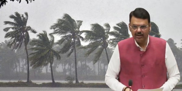 'आजची परिस्थिती अधिक गंभीर'; मुंबईत एका दिवसात ३५० झाडे कोसळली, मुख्यमंत्री फडणवीस नेमकं काय म्हणाले?