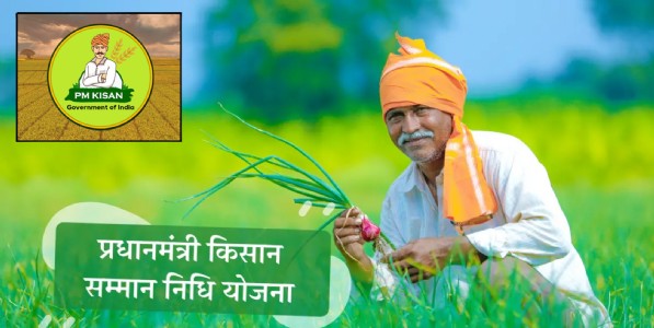 पीएम किसान योजनेतून कोणाला वगळलं? जमीन नावावर असली तरी 'या' शेतकऱ्यांना मिळणार नाही ६ हजारांचा लाभ