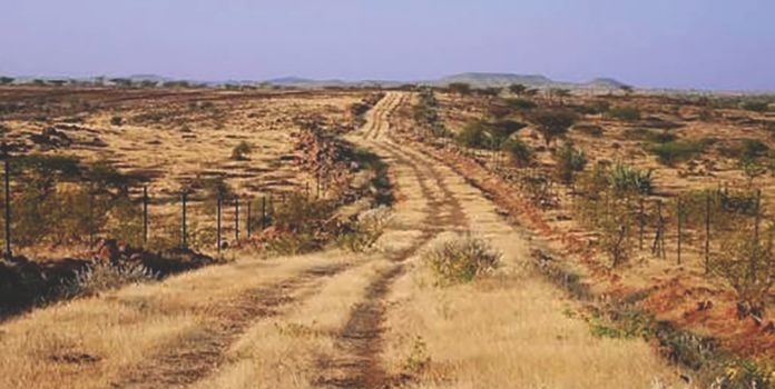 Maharashtra Grassland Conservation
