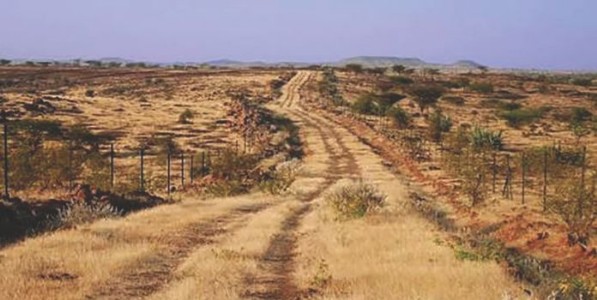 ‘वेस्टलॅण्ड’चा फेरविचार गरजेचा