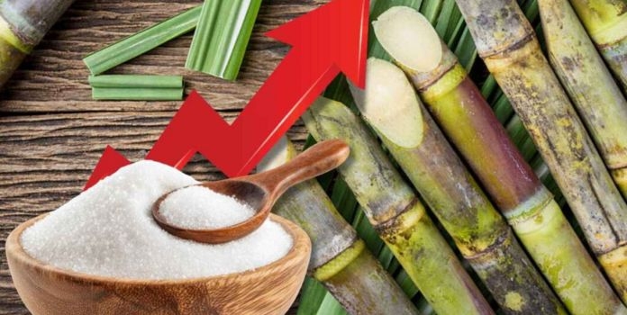 India Sugar Import Risk