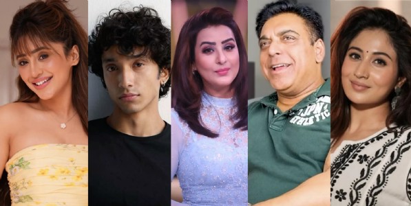 'लॉक अप २'चे टॉप ५ निश्चित, कोण उचलणार विजेतेपदाची ट्रॉफी?