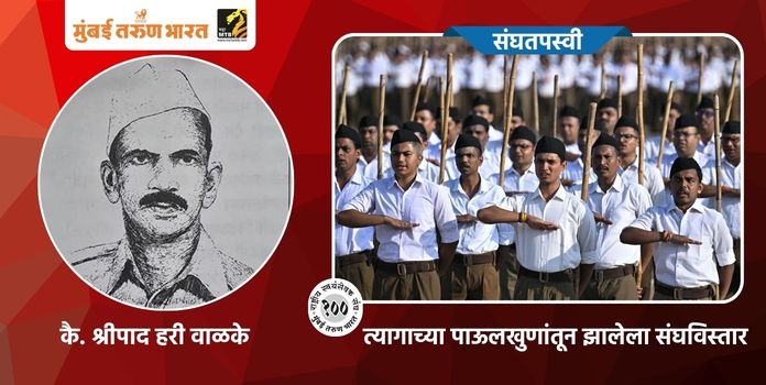 Shripad Hari Walke
