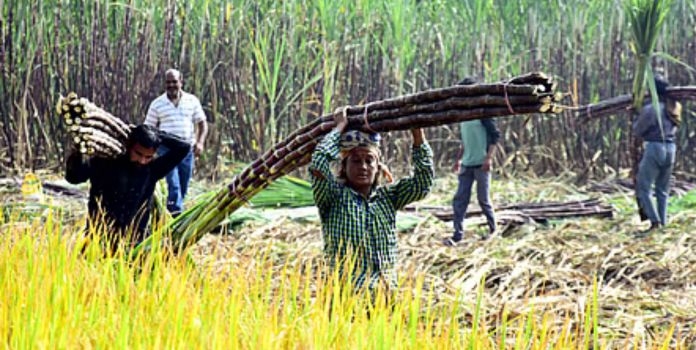 Soft Loan Scheme for Sugar Mills