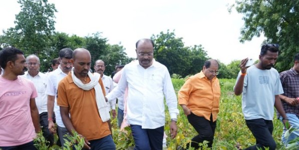 महसुलमंत्री चंद्रशेखर बावनकुळे शेतकऱ्यांच्या बांधावर