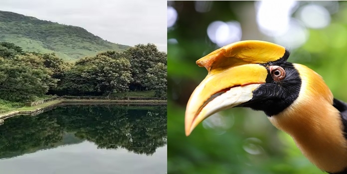 Mahadare Conservation Reserve